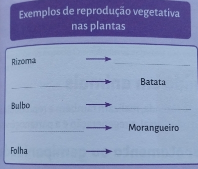 Exemplos de reprodução vegetativa 
nas plantas 
Rizoma 
_ 
_ 
Batata 
Bulbo 
_ 
_ 
Morangueiro 
Folha 
_