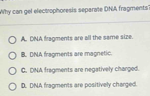 Why can gel electrophoresis separate DNA fragments?
A. DNA fragments are all the same size.
B. DNA fragments are magnetic.
C. DNA fragments are negatively charged.
D. DNA fragments are positively charged.