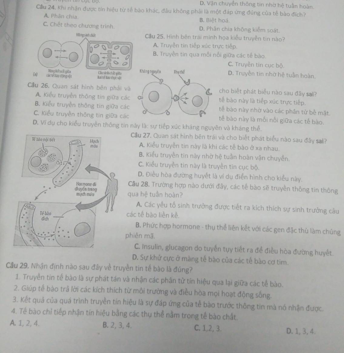 D. Vận chuyền thông tin nhờ hệ tuần hoàn.
Câu 24. Khi nhận được tín hiệu từ tế bào khác, đâu không phải là một đáp ứng đúng của tế bào đích?
A. Phân chia. B. Biệt hoá.
C. Chết theo chương trình. D. Phân chia không kiểm soát.
Câu 25. Hình bên trái minh họa kiều truyền tin nào?
A. Truyền tin tiếp xúc trực tiếp.
B. Truyền tin qua mối nối giữa các tế bào.
C. Truyền tin cục bộ.
D. Truyền tin nhờ hệ tuần hoàn.
o động vậL hai tế bào thực vật
Câu 26. Quan sát hình bên phải vàcho biết phát biểu nào sau đây sai?
A. Kiểu truyền thông tin giữa cáctế bào này là tiếp xúc trực tiếp.
B. Kiểu truyền thông tin giữa cáctế bào này nhờ vào các phân tử bề mặt.
C. Kiểu truyền thông tin giữa cáctế bào này là mối nối giữa các tế bào.
D. Ví dụ cho kiểu truyền thông tin này là: sự tiếp xúc kháng nguyên và kháng thể.
Câu 27. Quan sát hình bên trái và cho biết phát biểu nào sau đây sai?
A. Kiểu truyền tin này là khi các tế bào ở xa nhau.
B. Kiều truyền tin này nhờ hệ tuần hoàn vận chuyền.
C. Kiểu truyền tin này là truyền tin cục bộ.
D. Điều hòa đường huyết là ví dụ điển hình cho kiều này.
Câu 28. Trường hợp nào dưới đây, các tế bào sẽ truyền thông tin thông
qua hệ tuần hoàn?
A. Các yếu tố sinh trưởng được tiết ra kích thích sự sinh trưởng cầu
các tế bào liền kề,
B. Phức hợp hormone - thụ thể liên kết với các gen đặc thù làm chúng
phiên mã.
C. Insulin, glucagon do tuyến tụy tiết ra đề điều hòa đường huyết.
D. Sự khử cực ở màng tế bào của các tế bào cơ tim.
Câu 29. Nhận định nào sau đây về truyền tin tế bào là đúng?
1. Truyền tin tế bào là sự phát tán và nhận các phân tử tín hiệu qua lại giữa các tế bào.
2. Giúp tế bào trả lời các kích thích từ môi trường và điều hòa mọi hoạt động sống.
3. Kết quả của quá trình truyền tín hiệu là sự đáp ứng của tế bào trước thông tin mà nó nhận được.
4. Tế bào chỉ tiếp nhận tín hiệu bằng các thụ thể nằm trong tế bào chất.
A. 1, 2, 4. B. 2, 3, 4. C. 1,2, 3. D. 1, 3, 4.