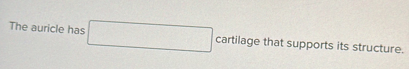 The auricle has □ cartilage that supports its structure.