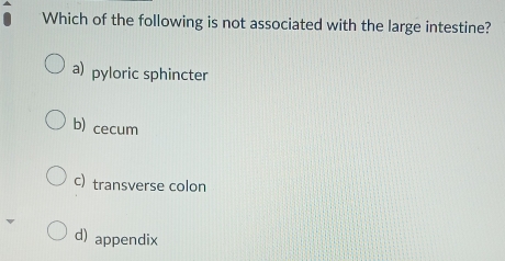 Which of the following is not associated with the large intestine?
a) pyloric sphincter
b) cecum
c) transverse colon
d) appendix