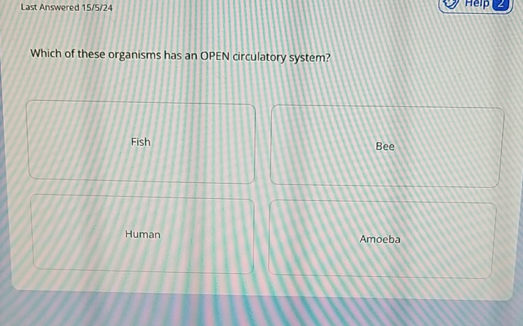 Last Answered 15/5/24
Help 2
Which of these organisms has an OPEN circulatory system?
Fish Bee
Human Amoeba