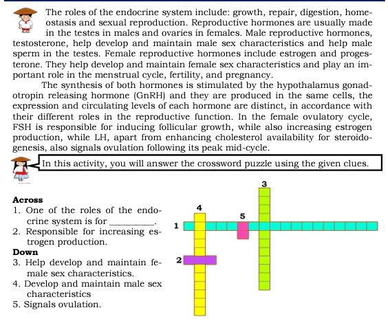 The roles of the endocrine system include: growth, repair, digestion, home- 
ostasis and sexual reproduction. Reproductive hormones are usually made 
in the testes in males and ovaries in females. Male reproductive hormones, 
testosterone, help develop and maintain male sex characteristics and help male 
sperm in the testes. Female reproductive hormones include estrogen and proges- 
terone. They help develop and maintain female sex characteristics and play an im- 
portant role in the menstrual cycle, fertility, and pregnancy. 
The synthesis of both hormones is stimulated by the hypothalamus gonad- 
otropin releasing hormone (GnRH) and they are produced in the same cells, the 
expression and circulating levels of each hormone are distinct, in accordance with 
their different roles in the reproductive function. In the female ovulatory cycle, 
FSH is responsible for inducing follicular growth, while also increasing estrogen 
production, while LH, apart from enhancing cholesterol availability for steroido- 
genesis, also signals ovulation following its peak mid-cycle. 
In this activity, you will answer the crossword puzzle using the given clues. 
Across 
1. One of the roles of the endo- 
crine system is for _. 
2. Responsible for increasing es 
trogen production. 
Down 
3. Help develop and maintain fe- 
male sex characteristics. 
4. Develop and maintain male sex 
characteristics 
5. Signals ovulation.