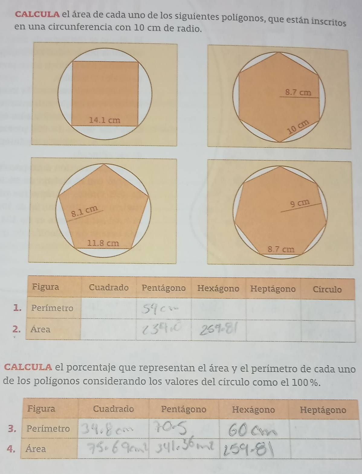 cALCULA el área de cada uno de los siguientes polígonos, que están inscritos 
en una circunferencia con 10 cm de radio.
8.7 cm
14.1 cm
10 cm
9 cm
8.1 cm
11.8 cm
8.7 cm
Figura Cuadrado Pentágono Hexágono Heptágono Círculo 
1. Perímetro 
2. Área 
CALCULA el porcentaje que representan el área y el perímetro de cada uno 
de los polígonos considerando los valores del círculo como el 100%.