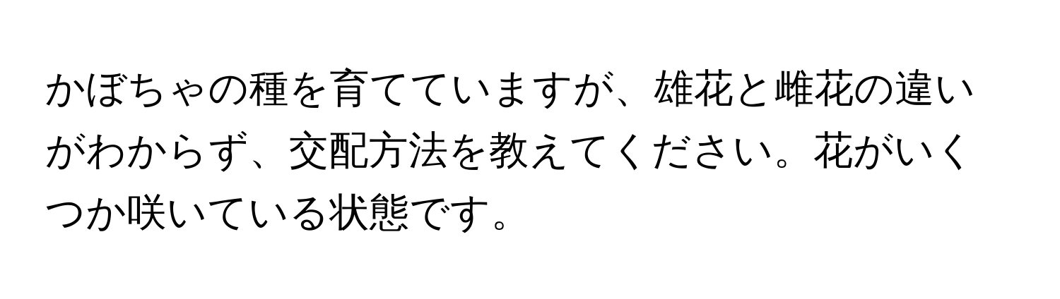 かぼちゃの種を育てていますが、雄花と雌花の違いがわからず、交配方法を教えてください。花がいくつか咲いている状態です。