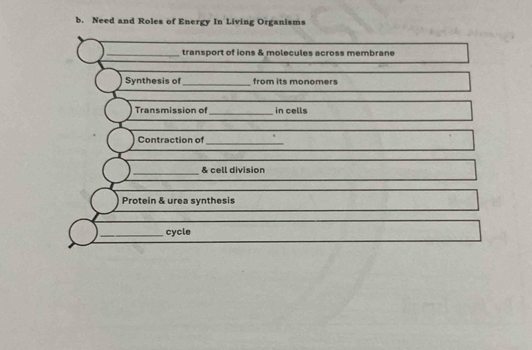 Need and Roles of Energy In Living Organisms 
_transport of ions & molecules across membrane 
Synthesis of_ from its monomers 
Transmission of _in cells 
Contraction of_ 
_& cell division 
Protein & urea synthesis 
_cycle