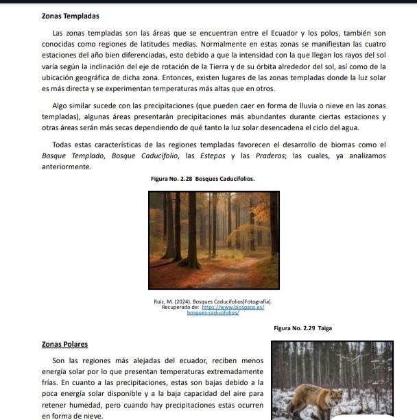 Zonas Templadas
Las zonas templadas son las áreas que se encuentran entre el Ecuador y los polos, también son
conocidas como regiones de latitudes medias. Normalmente en estas zonas se manifiestan las cuatro
estaciones del año bien diferenciadas, esto debido a que la intensidad con la que llegan los rayos del sol
varía según la inclinación del eje de rotación de la Tierra y de su órbita alrededor del sol, así como de la
ubicación geográfica de dicha zona. Entonces, existen lugares de las zonas templadas donde la luz solar
es más directa y se experimentan temperaturas más altas que en otros.
Algo similar sucede con las precipitaciones (que pueden caer en forma de Iluvia o nieve en las zonas
templadas), algunas áreas presentarán precipitaciones más abundantes durante ciertas estaciones y
otras áreas serán más secas dependiendo de qué tanto la luz solar desencadena el ciclo del agua.
Todas estas características de las regiones templadas favorecen el desarrollo de biomas como el
Bosque Templado, Bosque Caducifolio, las Estepás y las Praderas; las cuales, ya analizamos
anteriormente.
Figura No. 2.28 Bosques Caducifolios.
Ruiz, M. (2024). Bosques Caducifolios[Fotografía].
Recuperado de: https: /www.biospace.es
basques-caducifolios?
Figura No. 2.29 Taiga
Zonas Polares
Son las regiones más alejadas del ecuador, reciben meno
energía solar por lo que presentan temperaturas extremadament
frías. En cuanto a las precipitaciones, estas son bajas debido a l
poca energía solar disponible y a la baja capacidad del aire par
retener humedad, pero cuando hay precipitaciones estas ocurre
en forma de nieve.