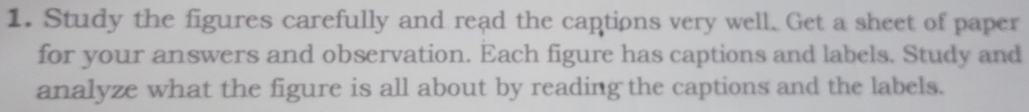 Study the figures carefully and read the captions very well. Get a sheet of paper 
for your answers and observation. Each figure has captions and labels. Study and 
analyze what the figure is all about by reading the captions and the labels.
