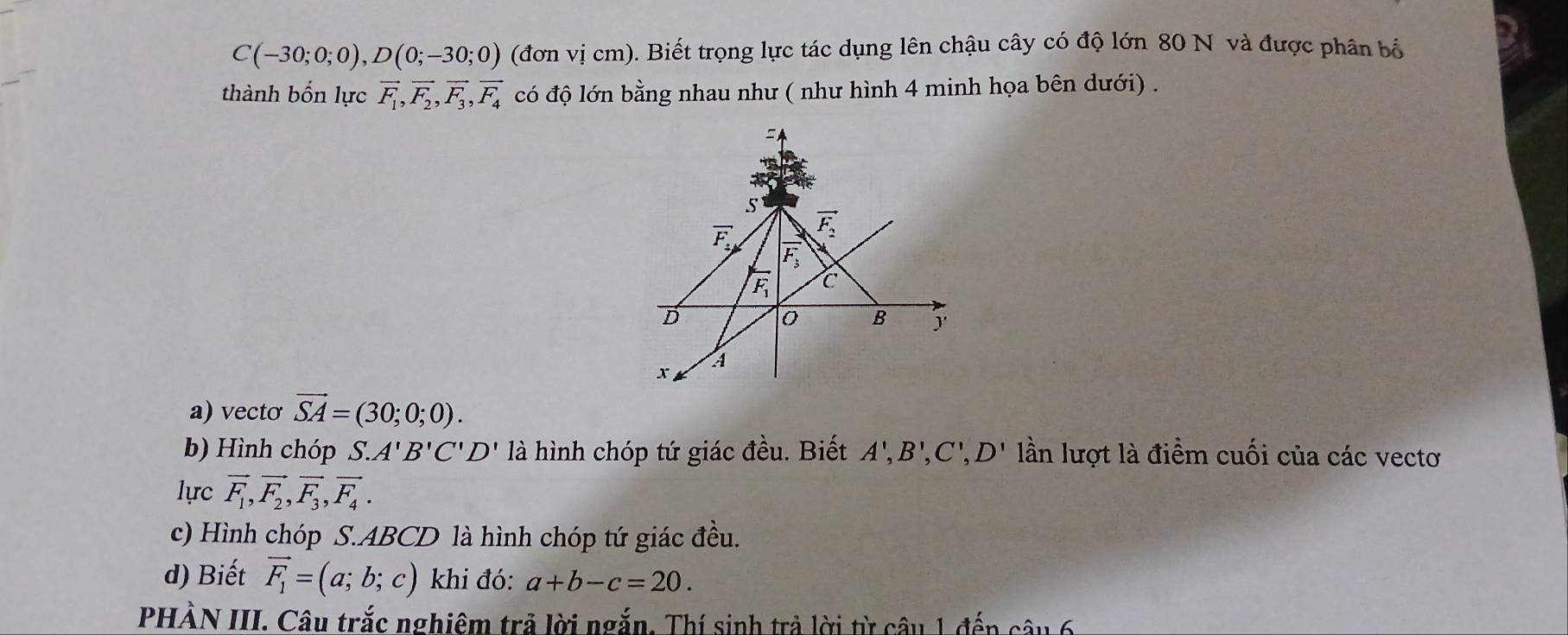 C(-30;0;0), D(0;-30;0) (đơn vị cm). Biết trọng lực tác dụng lên chậu cây có độ lớn 80 N và được phân bộ 
thành bốn lực vector F_1, vector F_2, vector F_3, vector F_4 có độ lớn bằng nhau như ( như hình 4 minh họa bên dưới) . 

s
overline F_2 vector F_2
F,
F_1 C
D
0 B
x 4
a) vecto vector SA=(30;0;0). 
b) Hình chóp S.A'B'C'D' là hình chóp tứ giác đều. Biết A', B', C', D' lần lượt là điểm cuối của các vectơ 
lực vector F_1, vector F_2, vector F_3, vector F_4. 
c) Hình chóp S. ABCD là hình chóp tứ giác đều. 
d) Biết vector F_1=(a;b;c) khi đó: a+b-c=20. 
PHÀN III. Câu trắc nghiêm trả lời ngắn. Thí sinh trả lời từ câu 1 đến câu 6