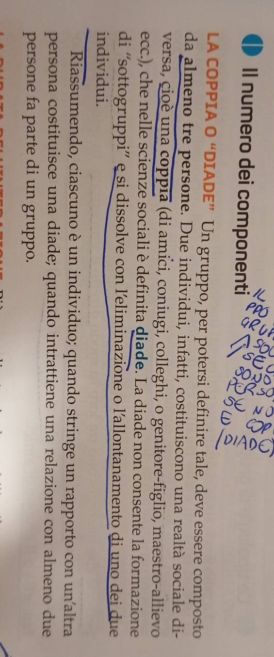 Il numero dei componenti 
LA COPPIA O “DIADE” Un gruppo, per potersi definire tale, deve essere composto 
da almeno tre persone. Due individui, infatti, costituiscono una realtà sociale di- 
versa, cioè una coppia (di amici, coniugi, colleghi, o genitore-figlio, maestro-allievo 
ecc.), che nelle scienze sociali è definita diade. La diade non consente la formazione 
di “sottogruppi” e si dissolve con l’eliminazione o l'allontanamento di uno dei due 
individui. 
Riassumendo, ciascuno è un individuo; quando stringe un rapporto con un'altra 
persona costituisce una diade; quando intrattiene una relazione con almeno due 
persone fa parte di un gruppo.