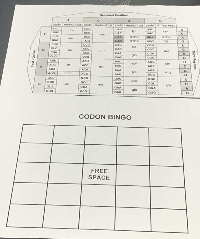 CODON BINGO