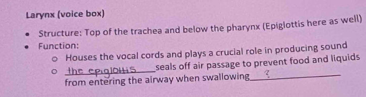 Larynx (voice box) 
Structure: Top of the trachea and below the pharynx (Epiglottis here as well) 
Function: 
Houses the vocal cords and plays a crucial role in producing sound 
_ 
seals off air passage to prevent food and liquids . 
from entering the airway when swallowing 
_