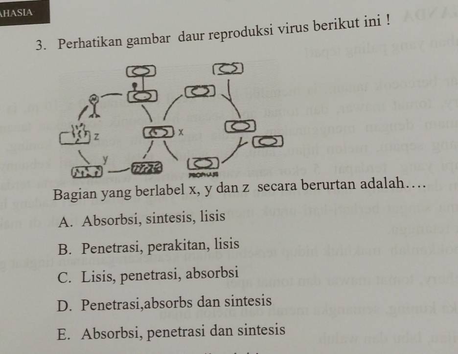 HASIA
3. Perhatikan gambar daur reproduksi virus berikut ini !
Bagian yang berlabel x, y dan z secara berurtan adalah…
A. Absorbsi, sintesis, lisis
B. Penetrasi, perakitan, lisis
C. Lisis, penetrasi, absorbsi
D. Penetrasi,absorbs dan sintesis
E. Absorbsi, penetrasi dan sintesis