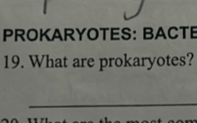 PROKARYOTES: BACTE 
19. What are prokaryotes? 
_