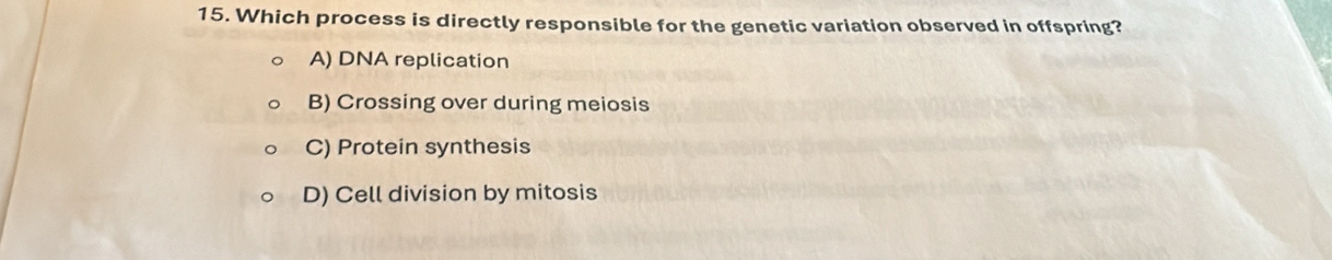 Which process is directly responsible for the genetic variation observed in offspring?
A) DNA replication
B) Crossing over during meiosis
C) Protein synthesis
D) Cell division by mitosis