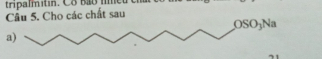 tripalmitin. Co bão nmeu 
Câu 5. Cho các chất sau