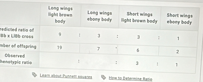 re 
B 
mb 
he 
w to Determine Ratio