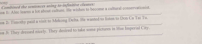 ony 
_ 
Combined the sentences using to-infinitive clauses: 
on 1: Alec learns a lot about culture. He wishes to become a cultural conservationist. 
_. 
_ 
on 2: Timothy paid a visit to Mekong Delta. He wanted to listen to Don Ca Tai Tu. 
_ 
on 3: They dressed nicely. They desired to take some pictures in Hue Imperial City.