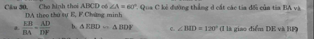 Câu 30, Cho hình thoi ABCD có ∠ A=60°. Qua C kẻ đường thẳng d cất các tia đối của tia BA và
DA theo thứ tự E, F.Chứng minh
a.  EB/BA = AD/DF  b. △ EBD∽ △ BDF c. ∠ BID=120° (I là giao điểm DE và BF)