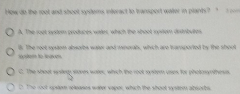 ' p 
A Th s y s tem pro duces w a ler w h tem distríbutes 
A Th e orted by th e e o . 
system to leaves 
C. The shoot systen a 
2. The root system releases water vapor, whict te ho t te m at r o