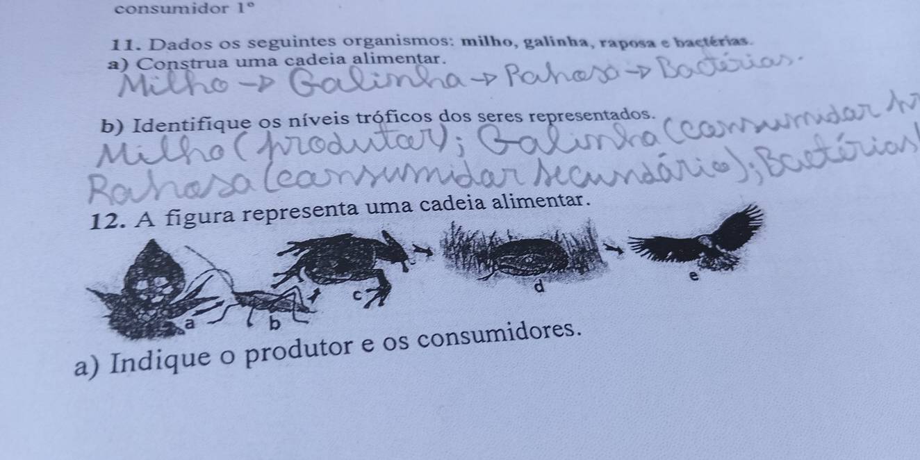 consumidor 1°
11. Dados os seguintes organismos: milho, galinha, raposa e bactérias. 
a) Construa uma cadeia alimentar. 
b) Identifique os níveis tróficos dos seres representados. 
A figura representa uma cadeia alimentar. 
a) Indique o produtor e sumidores.