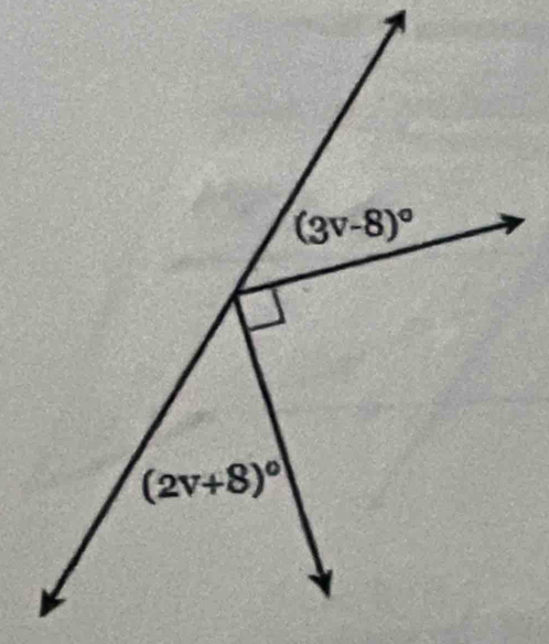 (3v-8)^circ 
(2v+8)^circ 