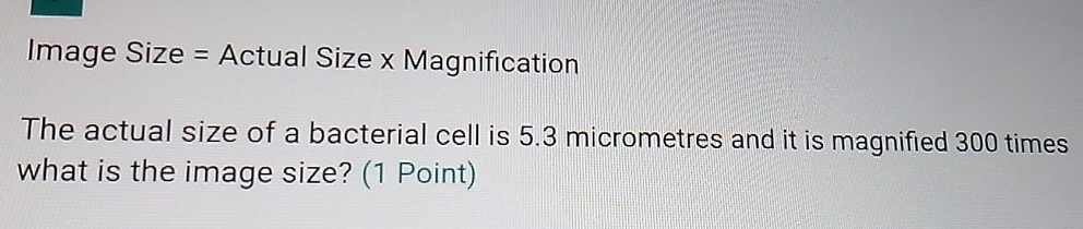 Image Size = Actual Size x Magnification 
The actual size of a bacterial cell is 5.3 micrometres and it is magnified 300 times
what is the image size? (1 Point)