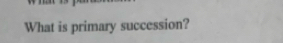 What is primary succession?