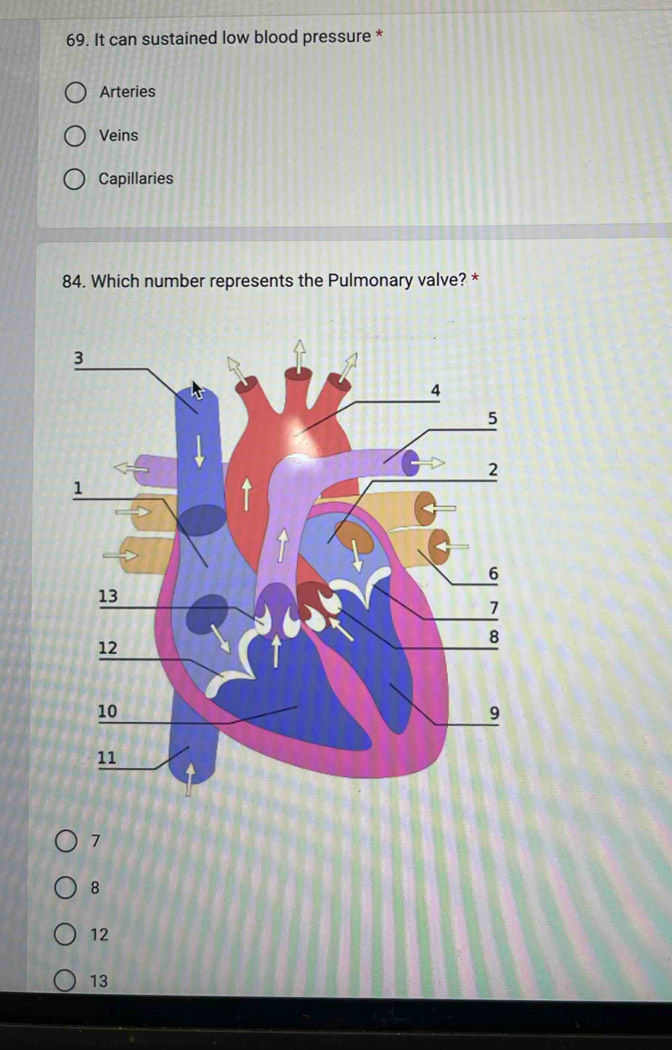 It can sustained low blood pressure *
Arteries
Veins
Capillaries
84. Which number represents the Pulmonary valve? *
7
8
12
13