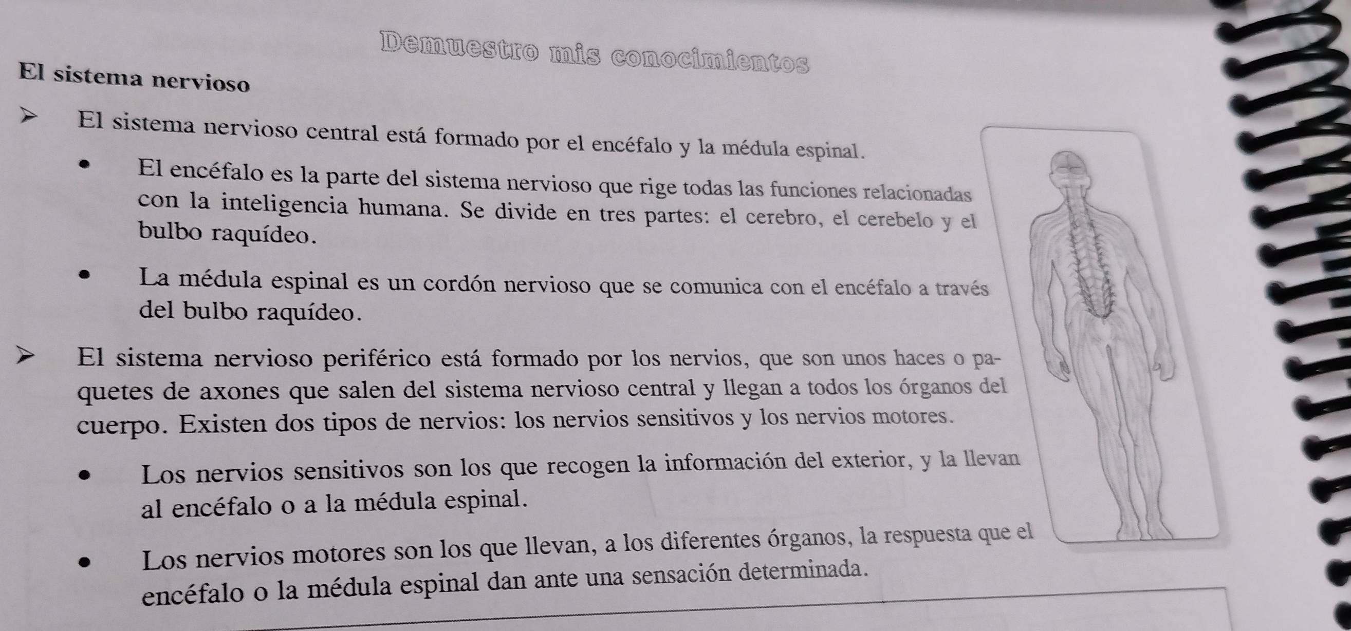 Demuestro mis conocimientos 
El sistema nervioso 
El sistema nervioso central está formado por el encéfalo y la médula espinal. 
El encéfalo es la parte del sistema nervioso que rige todas las funciones relacionadas 
con la inteligencia humana. Se divide en tres partes: el cerebro, el cerebelo y el 
bulbo raquídeo. 
La médula espinal es un cordón nervioso que se comunica con el encéfalo a través 
del bulbo raquídeo. 
El sistema nervioso periférico está formado por los nervios, que son unos haces o pa- 
quetes de axones que salen del sistema nervioso central y llegan a todos los órganos del 
cuerpo. Existen dos tipos de nervios: los nervios sensitivos y los nervios motores. 
Los nervios sensitivos son los que recogen la información del exterior, y la llevan 
al encéfalo o a la médula espinal. 
Los nervios motores son los que llevan, a los diferentes órganos, la respuesta que el 
encéfalo o la médula espinal dan ante una sensación determinada.