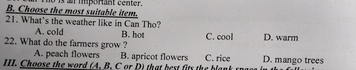 1o is an important center.
B. Choose the most suitable item.
21. What`s the weather like in Can Tho?
A. cold B. hot D. warm
C. cool
22. What do the farmers grow ?
A. peach flowers B. apricot flowers C. rice D. mango trees
III. Choose the word (A, B, C or D) that best fits the blank spac