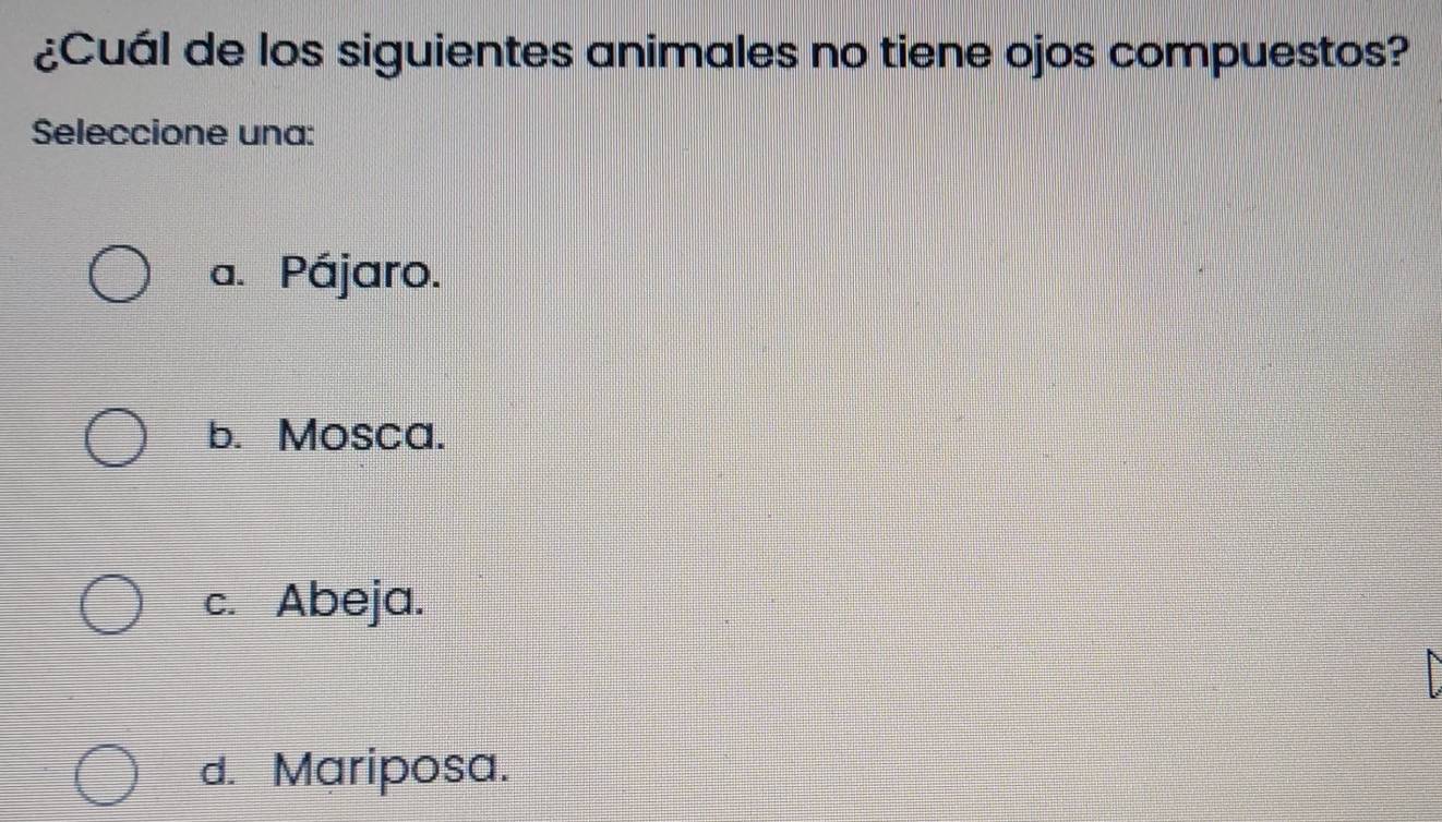 ¿Cuál de los siguientes animales no tiene ojos compuestos?
Seleccione una:
a. Pájaro.
b. Mosca.
c. Abeja.
I
d. Mariposa.