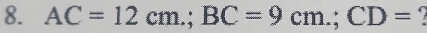 AC=12cm.; BC=9cm.; CD= 1