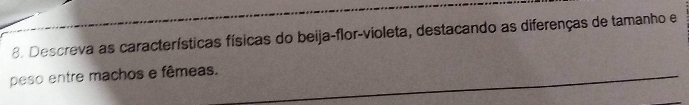 Descreva as características físicas do beija-flor-violeta, destacando as diferenças de tamanho e 
peso entre machos e fêmeas.