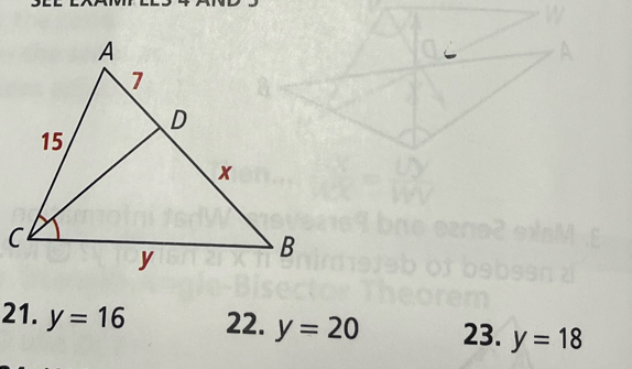 21. y=16 22. y=20 23. y=18