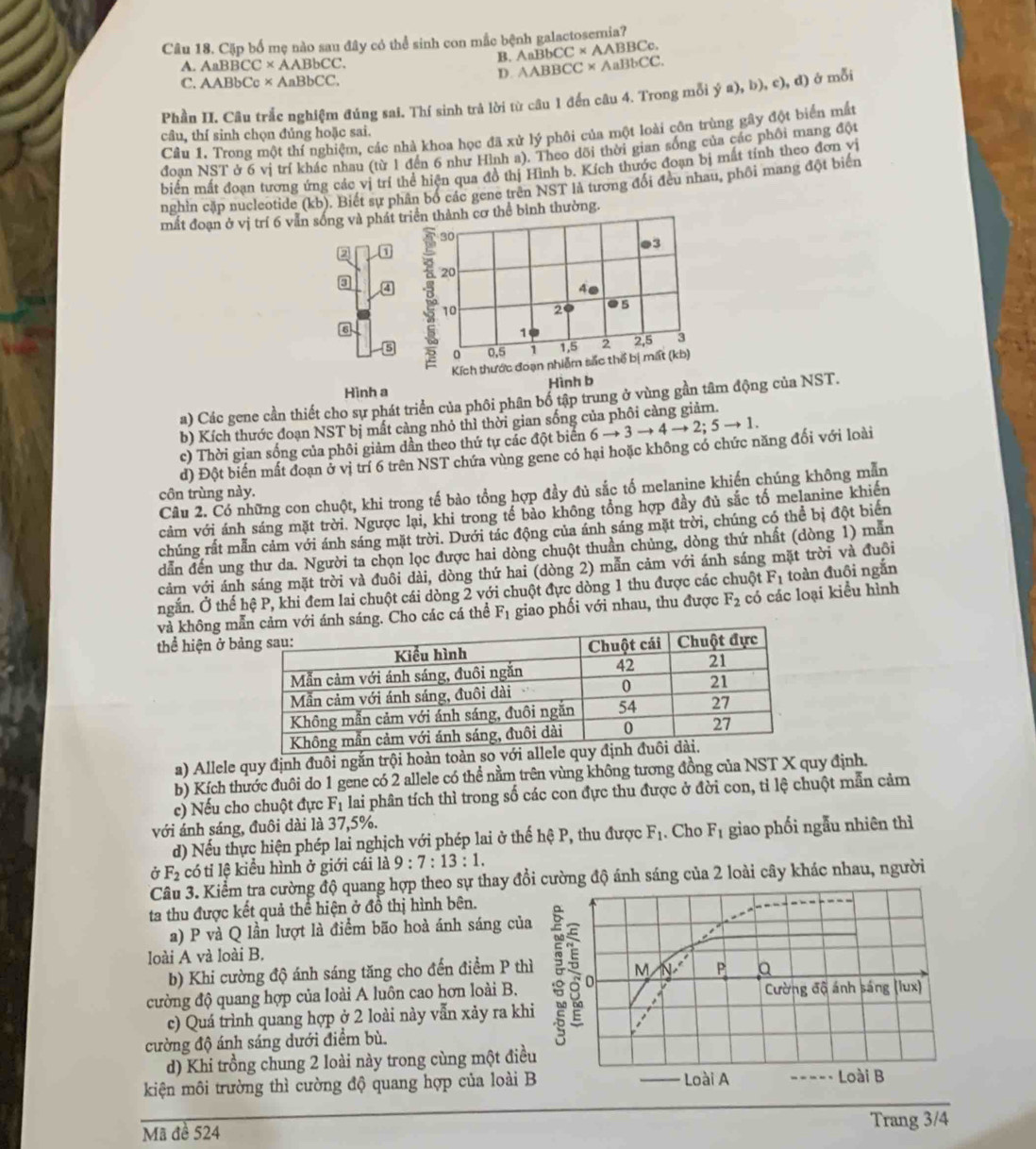 Cặp bố mẹ nào sau đây có thể sinh con mắc bệnh galactosemia?
B. AaBbCC* AABBC
A. AaB BCC* AABbCC.
C. AAB bCc * AaBbCC. D. AAB BC C* AaBbCC.
Phần II. Câu trắc nghiệm đúng sai. Thí sinh trả lời từ câu 1 đến câu 4. Trong mỗi  a),b),c),d) ở mỗi
Câu 1. Trong một thí nghiệm, các nhà khoa học đã xử lý phôi của một loài côn trùng gây đột biển mắt
câu, thí sinh chọn đủng hoặc sai.
đoan NST ở 6 vị trí khác nhau (từ 1 đến 6 như Hình a). Theo dõi thời gian sống của các phối mang đột
Biển mất đoạn tương ứng các vị trí thể hiện qua đồ thị Hình b. Kích thước đoạn bị mất tính theo đơn vị
nghìn cặp nucleotide (kb). Biết sự phân bố các gene trên NST là tương đổi đều nhau, phối mang đột biển
mất đoạn ở vị trí 6 vẫn sông và phát triển thành cơ thể binh thường.
30
●3
2 ① B 20
,④
A●
10 2● 5
6
1
5 0 0,5 1 1,5 2 2,5 3
Kích thước đoạn nhiễm sắc thể bị mất (kb)
Hình b
Hình a
a) Các gene cần thiết cho sự phát triển của phôi phân bố tập trung ở vùng gần tâm động của NST.
b) Kích thước đoạn NST bị mất càng nhỏ thì thời gian sống của phôi cảng giảm.
c) Thời gian sống của phôi giảm dần theo thứ tự các đột biển 6 → 3 4to 2;5to 1.
d) Đột biển mất đoạn ở vị trí 6 trên NST chứa vùng gene có hại hoặc không có chức năng đối với loài
Câu 2. Có những con chuột, khi trong tế bào tổng hợp đầy đủ sắc tố melanine khiến chúng không mẫn
côn trùng này.
cảm với ánh sáng mặt trời. Ngược lại, khi trong tế bảo không tổng hợp đầy đủ sắc tố melanine khiến
chúng rất mẫn cảm với ánh sáng mặt trời. Dưới tác động của ánh sáng mặt trời, chúng có thể bị đột biển
dẫn đến ung thư da. Người ta chọn lọc được hai dòng chuột thuần chủng, dòng thứ nhất (dòng 1) mẫn
cảm với ánh sáng mặt trời và đuôi dài, dòng thứ hai (dòng 2) mẫn cảm với ánh sáng mặt trời và đuôi
ngắn. Ở thế hệ P, khi đem lai chuột cái dòng 2 với chuột đực dòng 1 thu được các chuột F_1 toàn đuội ngắn
và không mvới ánh sáng. Cho các cá thể F_1 giao phối với nhau, thu được F_2 có các loại kiểu hình
thể hiện ở b
a) Allele quy định đuôi ngắn trội hoàn 
b) Kích thước đuôi do 1 gene có 2 allele có thể nằm trên vùng không tương đồng của NST X quy định.
c) Nếu cho chuột đực F_1 lai phân tích thì trong số các con đực thu được ở đời con, tỉ lệ chuột mẫn cảm
với ánh sáng, đuôi dài là 37,5%.
d) Nếu thực hiện phép lai nghịch với phép lai ở thế hệ P, thu được F_1. Cho F_1 giao phối ngẫu nhiên thì
ở F_2 có tỉ lệ kiểu hình ở giới cái là 9:7:13:1.
Câu 3. Kiểm tra cường độ quang hợp theo sự thay đổi cường độ ánh sáng của 2 loài cây khác nhau, người
ta thu được kết quả thể hiện ở đồ thị hình bên.
a) P và Q lần lượt là điểm bão hoà ánh sáng của
loài A và loài B.
b) Khi cường độ ánh sáng tăng cho đến điểm P thì M P
cường độ quang hợp của loài A luôn cao hơn loài B. Cường độ ánh páng (lux)
c) Quá trình quang hợp ở 2 loài này vẫn xảy ra khi
cường độ ánh sáng dưới điểm bù.
d) Khi trồng chung 2 loài này trong cùng một điều
kiện môi trường thì cường độ quang hợp của loài B Loài A Loài B
Mã đề 524 Trang 3/4