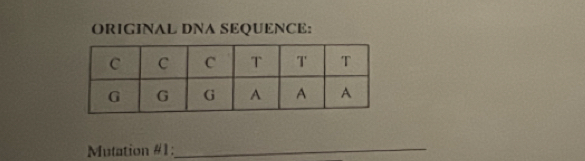 ORIGINAL DNA SEQUENCE: 
Mutation #1:_