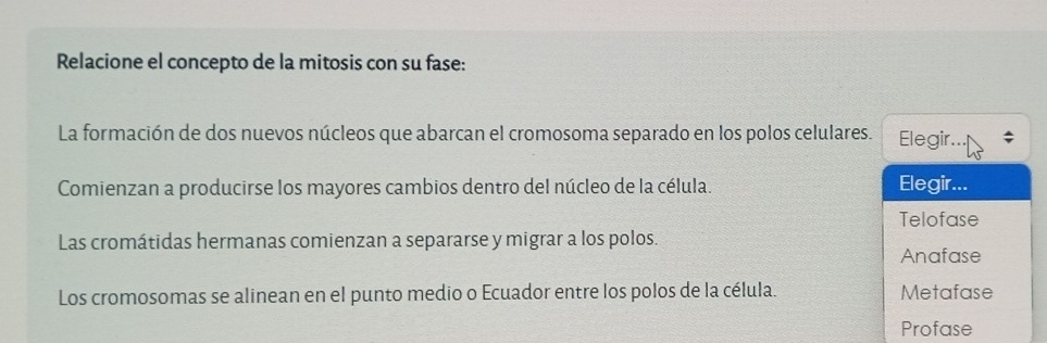 Relacione el concepto de la mitosis con su fase: 
La formación de dos nuevos núcleos que abarcan el cromosoma separado en los polos celulares. Elegir.. 
Comienzan a producirse los mayores cambios dentro del núcleo de la célula. Elegir... 
Telofase 
Las cromátidas hermanas comienzan a separarse y migrar a los polos. 
Anafase 
Los cromosomas se alinean en el punto medio o Ecuador entre los polos de la célula. Metafase 
Profase