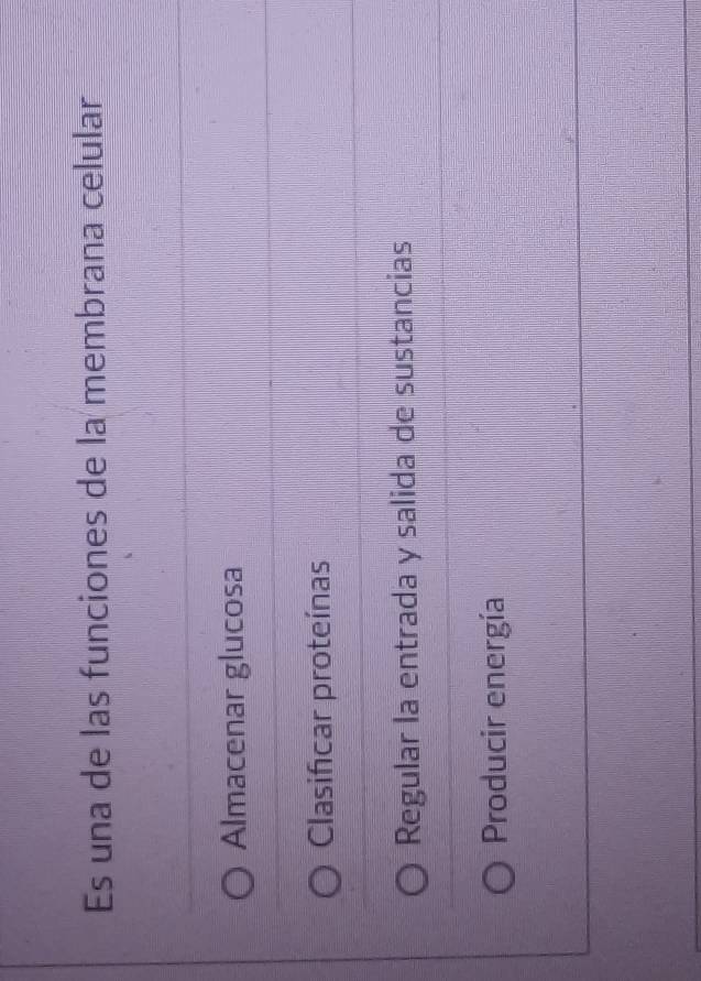 Es una de las funciones de la membrana celular
Almacenar glucosa
Clasificar proteínas
Regular la entrada y salida de sustancias
Producir energía