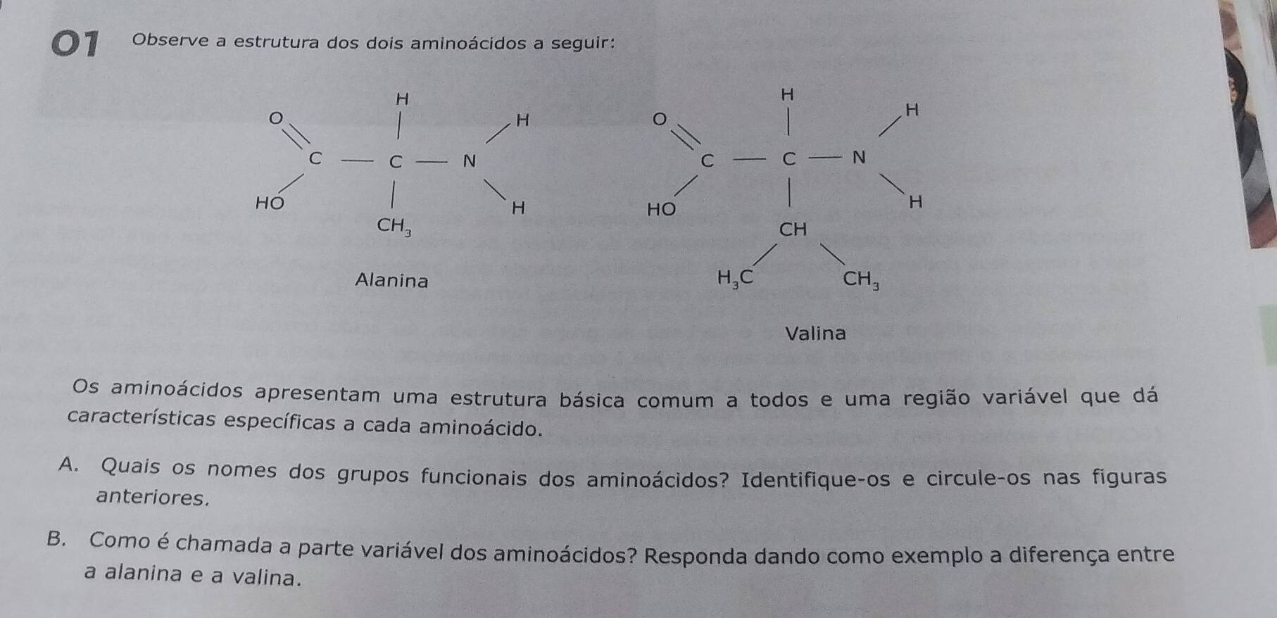 Observe a estrutura dos dois aminoácidos a seguir:
H
C
H
C C N 
hó
H
CH_3
Alanina 
Os aminoácidos apresentam uma estrutura básica comum a todos e uma região variável que dá
características específicas a cada aminoácido.
A. Quais os nomes dos grupos funcionais dos aminoácidos? Identifique-os e circuleços nas figuras
anteriores.
B. Como é chamada a parte variável dos aminoácidos? Responda dando como exemplo a diferença entre
a alanina e a valina.