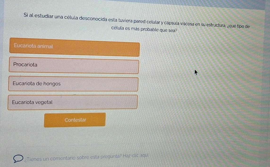 Si al estudiar una célula desconocida esta tuviera pared celular y cápsula viscosa en su estructura, ¿qué tipo de
célula es más probable que sea?
Eucariota animal
Procariota
Eucariota de hongos
Eucariota vegetal
Contestar
¿Tienes un comentario sobre esta pregunta? Haz clic aqui