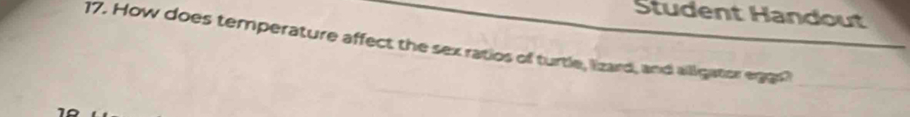 Student Handout 
17. How does temperature affect the sex ratios of turtle, lizard, and alligator erggs?