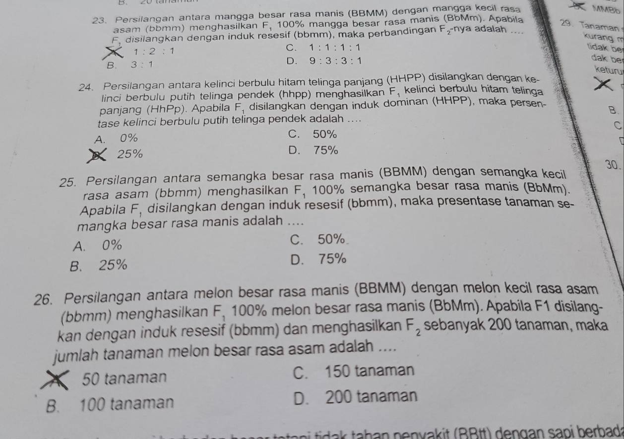 Persilangan antara mangga besar rasa manis (BBMM) dengan mangga kecil rasa
MMBb
asam (bbmm) menghasilkan F_1 100% mangga besar rasa manis (BbMm). Apabila
29. Tanaman
F disilangkan dengan induk resesif (bbmm), maka perbandingan F_2 -nya adalah ....
kurang m
1:2:1
C. 1:1:1:1
tidak be
B. 3:1 D. 9:3:3:1
dak be
keturu
24. Persilangan antara kelinci berbulu hitam telinga panjang (HHPP) disilangkan dengan ke-
linci berbulu putih telinga pendek (hhpp) menghasilkan F, kelinci berbulu hitam telinga
panjang (HhPp). Apabila F_1 disilangkan dengan induk dominan (HHPP), maka persen-
B.
tase kelinci berbulu putih telinga pendek adalah ....
A. 0% C. 50% C
B 25% D. 75%
30.
25. Persilangan antara semangka besar rasa manis (BBMM) dengan semangka kecil
rasa asam (bbmm) menghasilkan F_1 100% semangka besar rasa manis (BbMm).
Apabila F_1 disilangkan dengan induk resesif (bbmm), maka presentase tanaman se-
mangka besar rasa manis adalah ....
A. 0% C. 50%
B. 25% D. 75%
26. Persilangan antara melon besar rasa manis (BBMM) dengan melon kecil rasa asam
(bbmm) menghasilkan F_1 100% melon besar rasa manis (BbMm). Apabila F1 disilang-
kan dengan induk resesif (bbmm) dan menghasilkan F_2 sebanyak 200 tanaman, maka
jumlah tanaman melon besar rasa asam adalah ....
50 tanaman C. 150 tanaman
B. 100 tanaman D. 200 tanaman
t           n  n va it  R B t t   e  g an sa pi berbad t