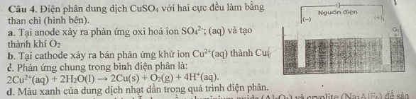 Điện phân dung dịch CuSO_4 với hai cực đều làm bằng 
than chì (hình bên). (-) Nguồn điện () 
a. Tại anode xảy ra phản ứng oxi hoá ion SO_4^((2-); (aq) và tạo 
thành khí O_2)
b. Tại cathode xảy ra bán phản ứng khử ion Cu^(2+)(aq) thành Cu 
c. Phản ứng chung trong bình điện phân là: 
d. Màu xanh của dung dịch nhạt dần trong quá trình điện phân. 2Cu^(2+)(aq)+2H_2O(l)to 2Cu(s)+O_2(g)+4H^+(aq). và crvolite (Na_2△ (Fe) đề sảo