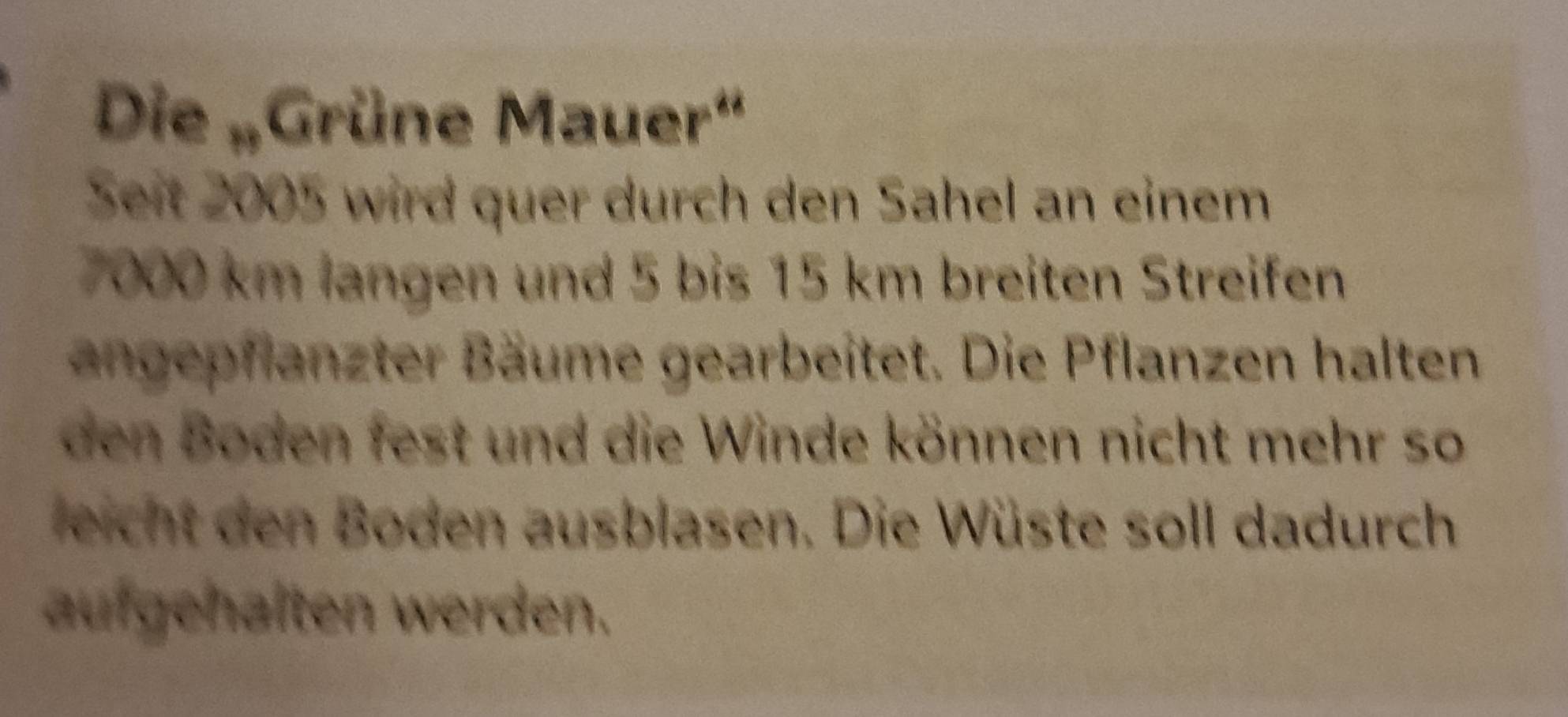 Die „Grüne Mauer' 
Seit 2005 wird quer durch den Sahel an einem
7000 km langen und 5 bis 15 km breiten Streifen 
angepflanzter Bäume gearbeitet. Die Pflanzen halten 
den Boden fest und die Winde können nicht mehr so 
leicht den Boden ausblasen. Die Wüste soll dadurch 
aufgehalten werden.