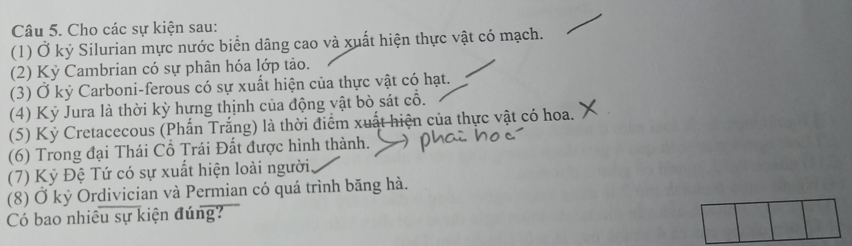 Cho các sự kiện sau: 
(1) Ở kỷ Silurian mực nước biển dâng cao và xuất hiện thực vật có mạch. 
(2) Kỷ Cambrian có sự phân hóa lớp tảo. 
(3) Ở kỷ Carboni-ferous có sự xuất hiện của thực vật có hạt. 
(4) Kỷ Jura là thời kỳ hựng thịnh của động vật bò sát cổ. 
(5) Kỷ Cretacecous (Phấn Trắng) là thời điểm xuất hiện của thực vật có hoa. 
(6) Trong đại Thái Cổ Trái Đất được hình thành. 
(7) Kỷ Đệ Tứ có sự xuất hiện loài người 
(8) Ở kỷ Ordivician và Permian có quá trình băng hà. 
Có bao nhiêu sự kiện đúng?