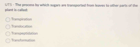 UT5 - The process by which sugars are transported from leaves to other parts of the
plant is called:
Transpiration
Translocation
Transpeptidation
Transformation