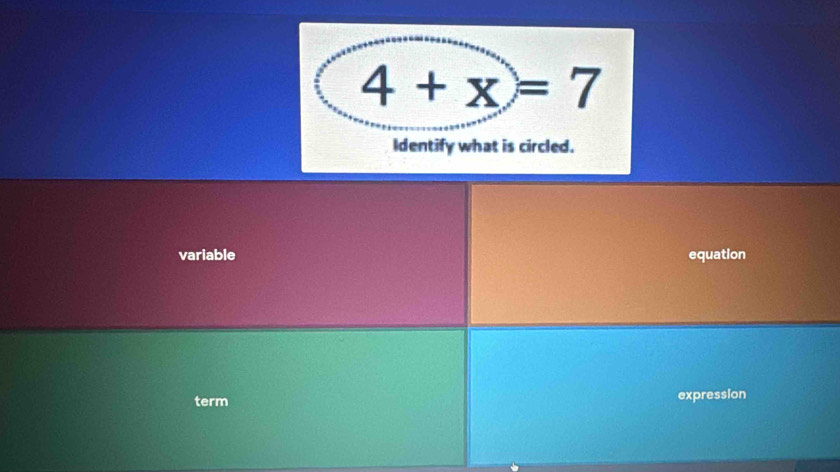 variable equation
term expression