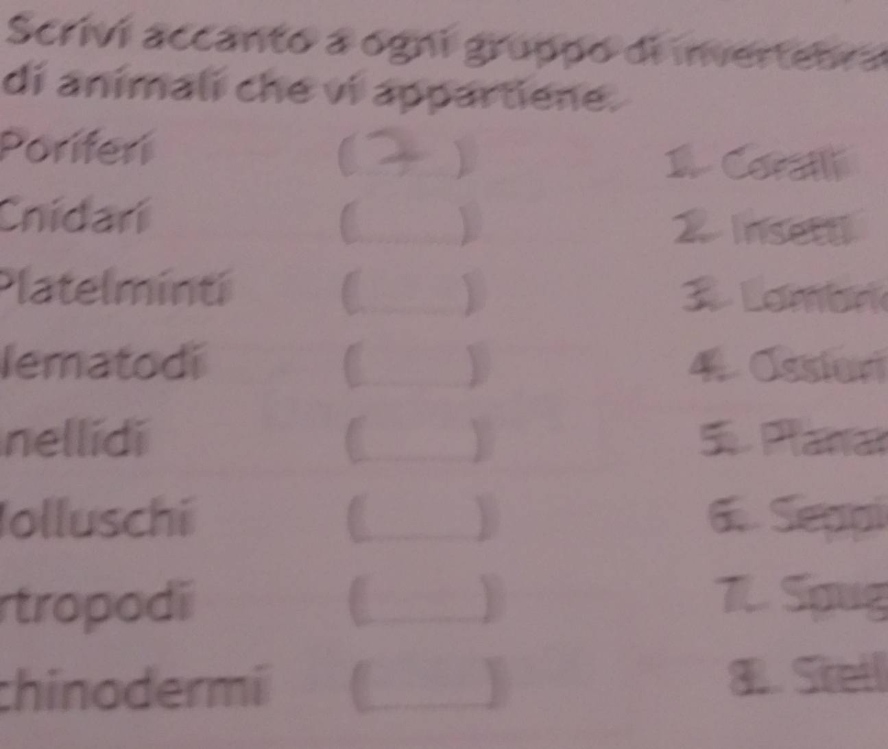 Scrivi accanto a ogni gruppo di invertebra 
di animali che vi appartiene. 
Poriferi 
1 Corall 
Cnidari 
C 2 Insettl 
Platelminti C  3. Lambri 
lematodi C  4. Ossiuri 
nellidi C 5. Planar 
olluschi C 6 Seppi 
rtropodi C 
7. Spug 
chinodermí ] 8. Sitetl