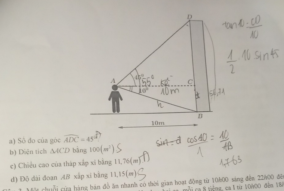 Số đo của góc widehat ADC=45°
b) Diện tích △ ACD bǎng 100(m^2)
c) Chiều cao của tháp xấp xỉ bằng 11,76(m)
d) Độ dài đoạn AB xấp xỉ bằng 11,15(m)
Một chuỗi cửa hàng bán đồ ăn nhanh có thời gian hoạt động từ 10/00 sáng đến 22/00 đề
m a mỗi ca 8 tiếng, ca I từ 10/00 đến 18/